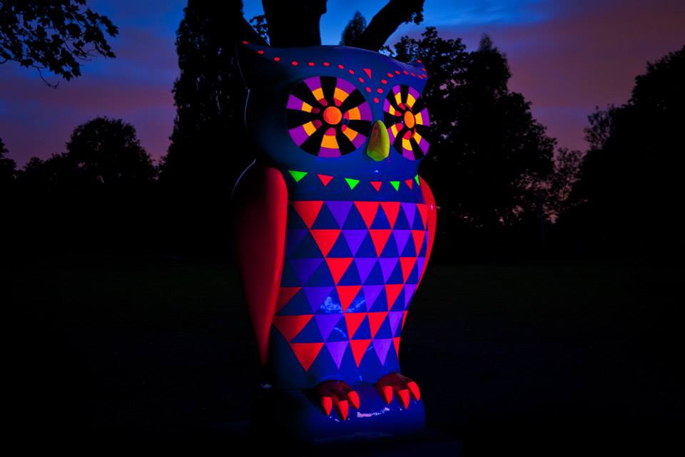 UV Owl