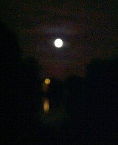 moon-lamp-lake-crop.jpg